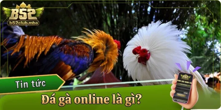 Đá gà online là gì? - Giải đáp hình thức giải trí đẳng cấp