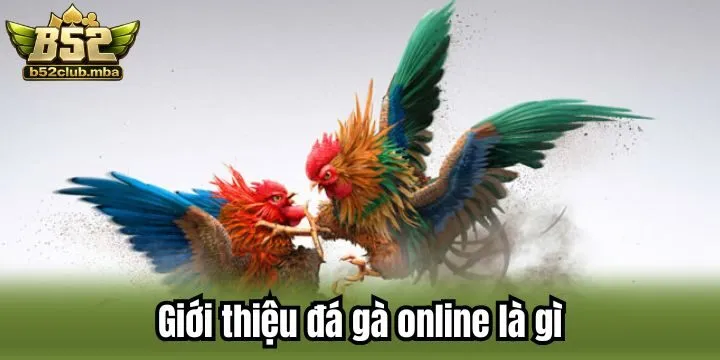 Đá gà online là gì không quá khó để tìm hiểu