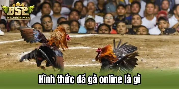 Bộ môn nổi bật trong đá gà online là gì?