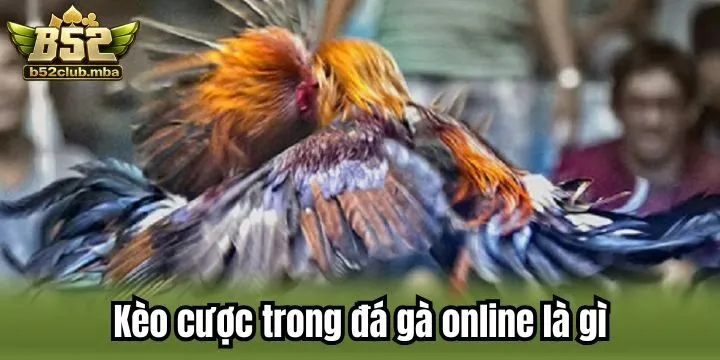 Bộ môn nổi bật trong đá gà online là gì?